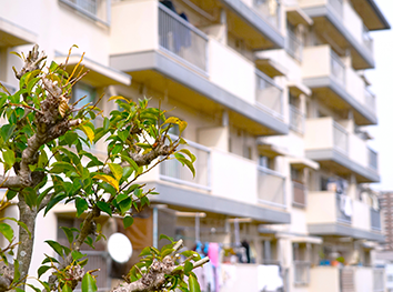 建物にピントが合っていない