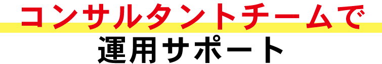 コンサルタントチームで運用サポート