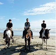 馬との触合いは最高