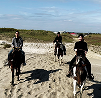 馬との触合いは最高
